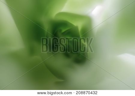 Green blurred background with a foliar pattern