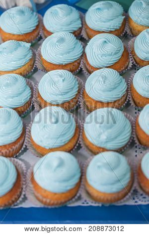 Closeup Of Blue Cupcakes. Selective Focus. Sweet Dessert Tasty Food Concept Muffin Baby Shower Treat