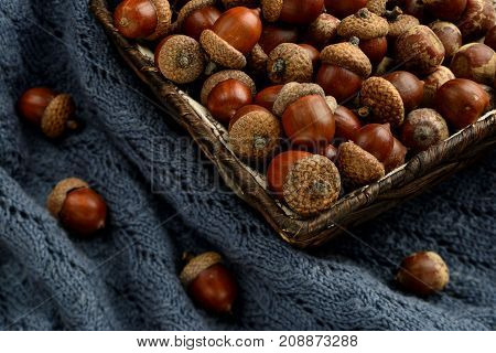 Autumn fruit of acorn on the warm blue fabric in a basket