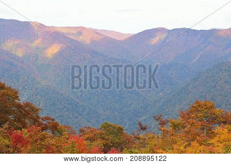 Autumn Landscape of vibrant colorful trees with mountain ranges in Japan