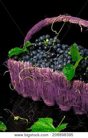 Red Wine Grapes In Voiolet Basket On Bllack Background.