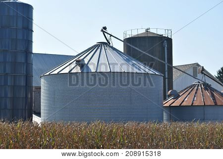 a steel grain dryer with auger behind a row of corn.