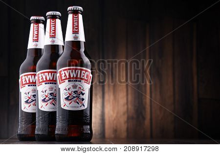 POZNAN POLAND - MAY 17 2017: Zywiec Beer is a pale lager which has been brewed in Poland by Zywiec Group owned by Heineken International since 1994