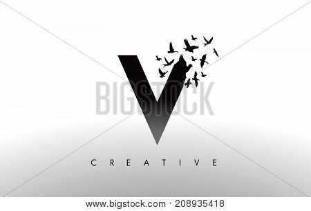 V Logo Letter With Flock Of Birds Flying And Disintegrating From The Letter.