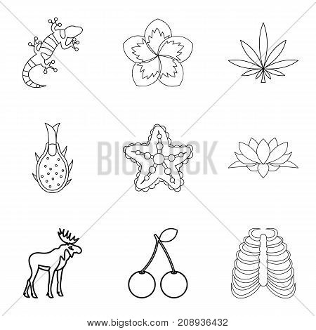 Parasite icons set. Outline set of 9 parasite vector icons for web isolated on white background