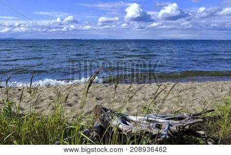 Old Wood Stump On The Lake