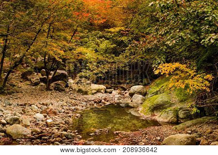 Autumn color in Naejangsan national park Korea