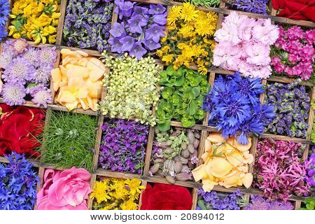 Blommor