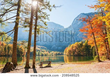 Hinterer Langbathsee Lake In Austrian Alps