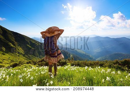The lawn with white daffodils in the high mountains landscapes. The girl in overknees stockings romantic dress back sack and straw hat. Unbelievable summer landscape.