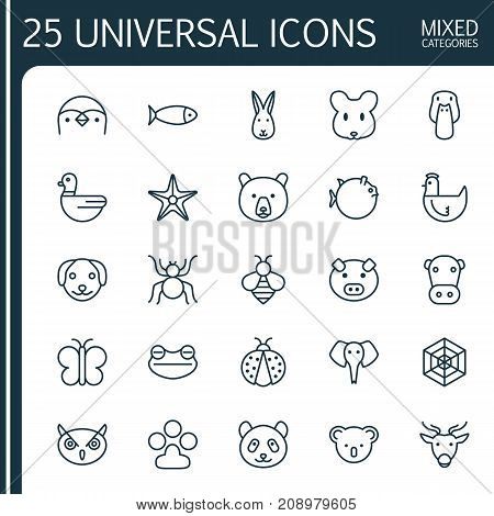 Nature Icons Set. Collection Of Bunny, Ladybird, Rat And Other Elements