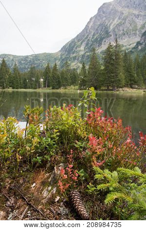 Small Forest Lake In Alpen Mountains, Place For Relaxation And Tranquil Vacation