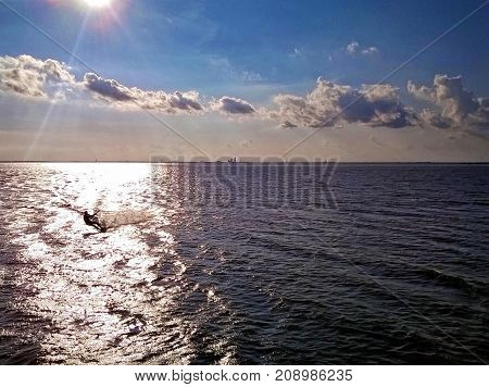 Photo of a Lone windsurfer on Mobile Bay