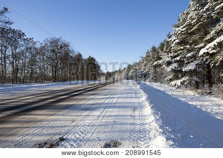 Cars Ridden On Snow Asphalt Road In A Coniferous Forest. Winter Landscape Against The Blue Sky