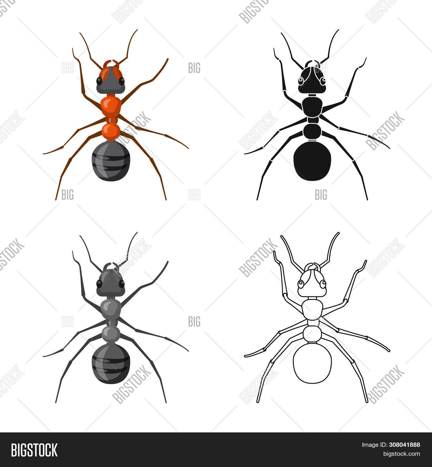 Insect Body Bitmap Bitmap Design Insect Image & Photo (Free Trial) | Bigstock