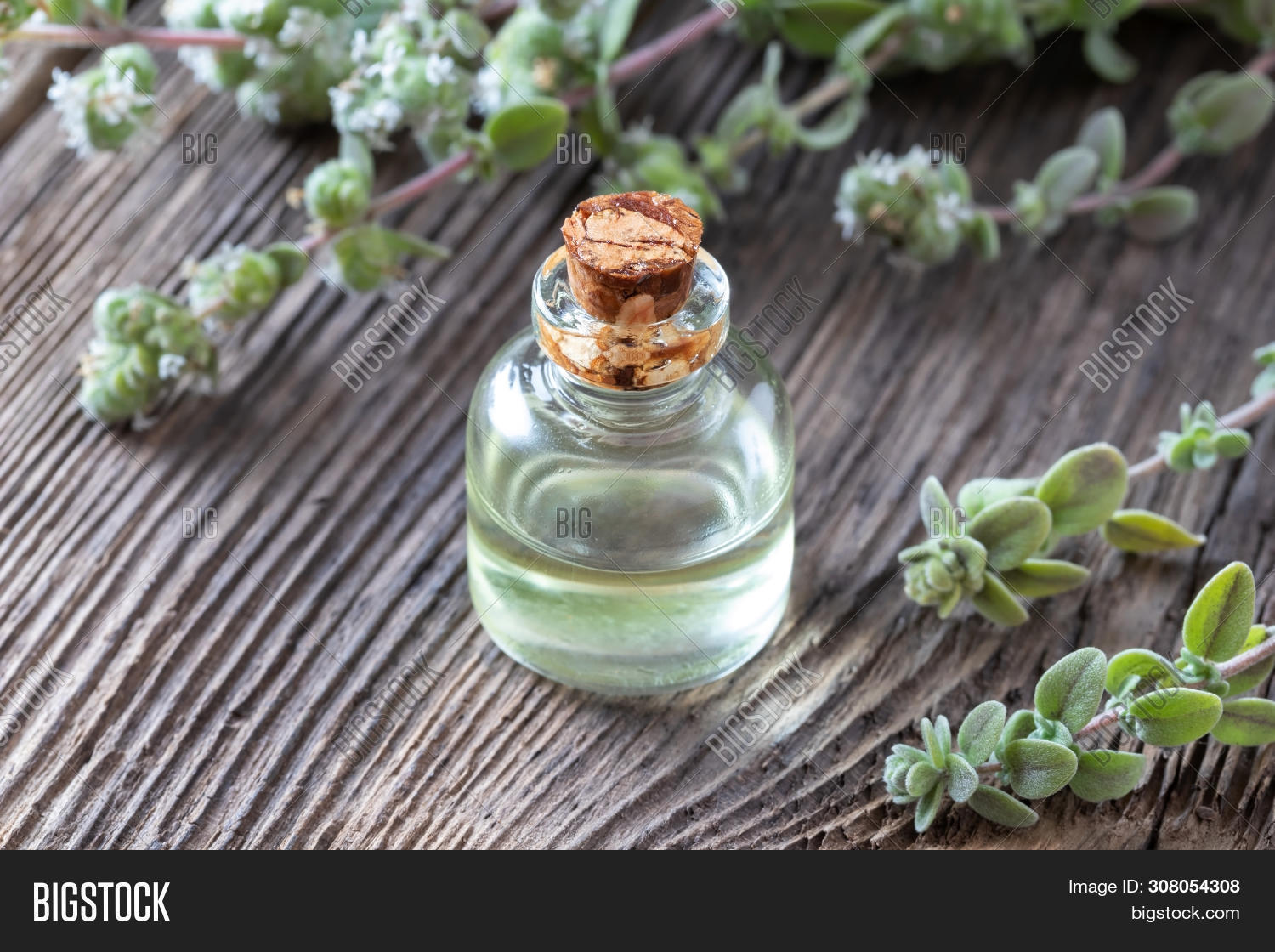 Эфирное масло майорана из египта. Масло майорана из египта. Майоран масло. Масло свит majoran. Масло эфирное "майоран".