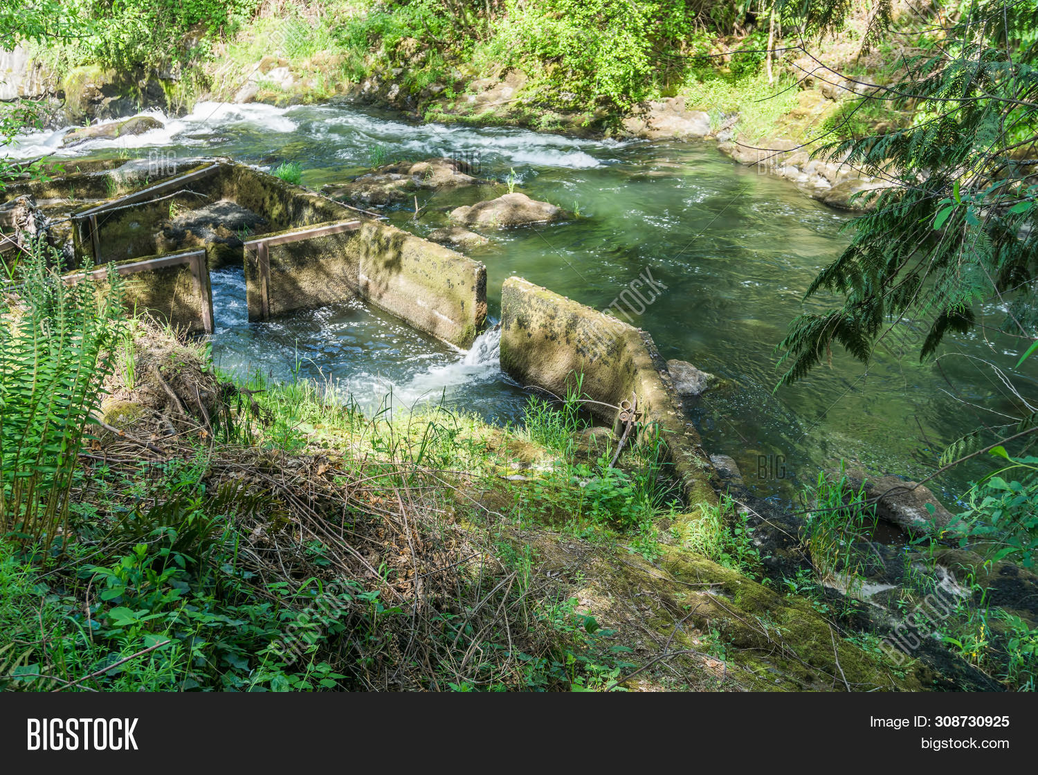 View Fish Ladder Image & Photo (Free Trial) | Bigstock