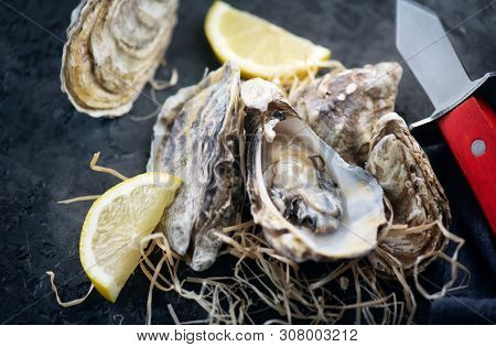 Fresh Oysters close-up with knife, served table with oysters and lemon. Healthy sea food. Oyster dinner in restaurant. Dark background. Seafood, Gourmet food. Flatlay, top view