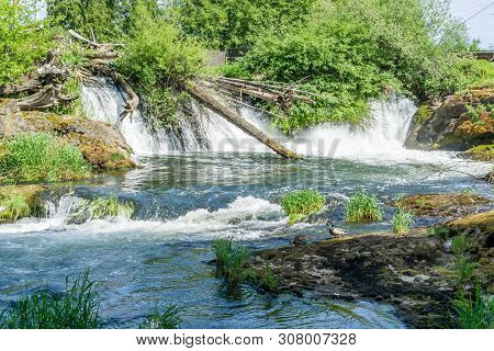 A View From Downstream  At Tumwater Falls In Tumwater, Washington.