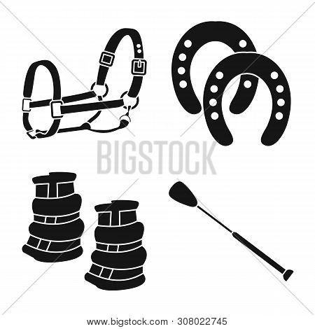 Vector Design Of Sport And Competition Icon. Set Of Sport And Equestrian Stock Vector Illustration.