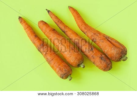 Ugly Food. Deformed Organic Carrots On The Pastel Yellow Background. Bright Colors. Misshapen Produc
