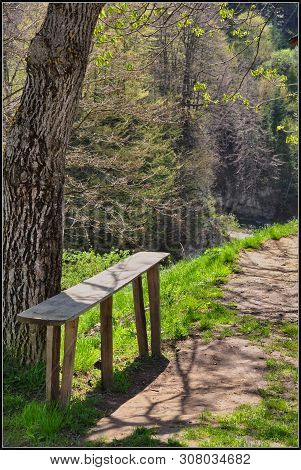 A Wooden Bench Stands Under A Tree Against The Background Of Spring Nature, Green Grass On A Sunny D