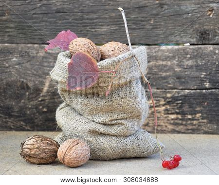 Fruits Of Walnuts In A Canvas Bag. Near The Twig Is An Autumnal Twig Of Viburnum With Reddened Leave
