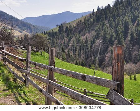 Old Hedge Of Wooden Planks Close-up Against The Background Of The Carpathian Coniferous And Deciduou