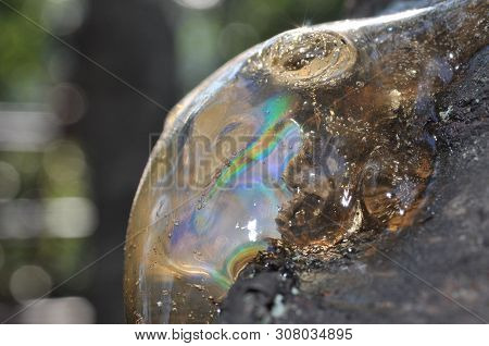 Gum, Glue, Hardened Resin, Sap From The Bark On The Trunk Of A Tree. Pitch - A Multi-colored Ingot, 