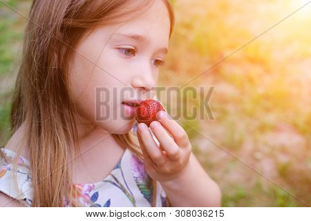 Girl Eating Strawberry. Child Face Closeup. Healthy, Organic Food. Fresh Ripe Berry. Summertime, Spr