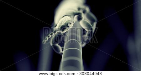 3d rendered illustration of a head louse, sem style