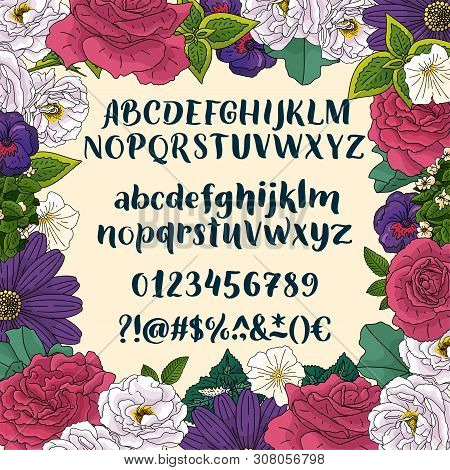Hand Drawn Typeface. Brush Painted Letters. Handwritten Script Alphabet Isolated On White Background