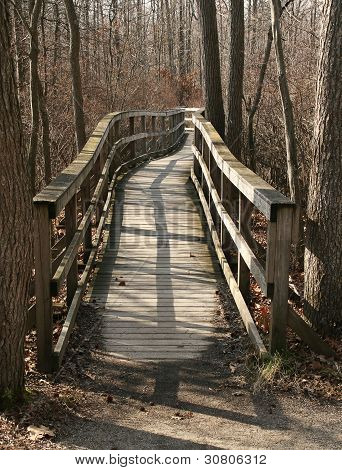 Boardwalk bron i den stora Swamp National Wildlife Refuge