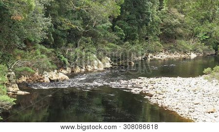 The Black River In The Tarkine Rain Forest Of Tasmania