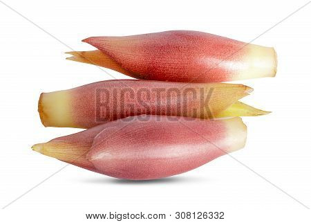 Myoga Organic An Isolated On White Background