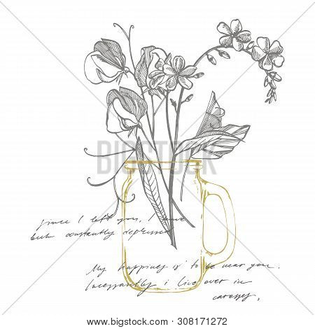 Forget-me-not Flowers. Botanical Illustration. Good For Cosmetics, Medicine, Treating, Aromatherapy,