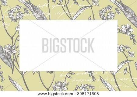 Collection Of Hand Drawn Flowers And Plants. Botany. Set. Vintage Flowers. Black And White Illustrat