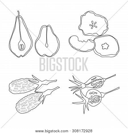 Vector Illustration Of Food And Raw Icon. Set Of Food And Nature Vector Icon For Stock.