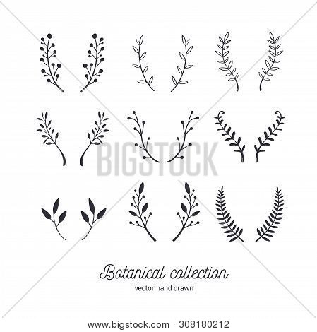 Vector Hand Drawn Vintage Floral Elements. Set Of Forest Doodle Flowers And Brunches For Wedding, Bi