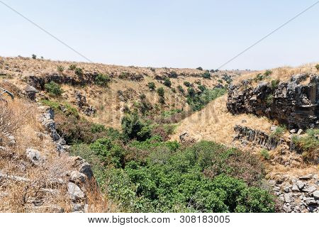 Blooming Valley With A River Flowing From The Ayit Waterfall On The Golan Heights In Israel