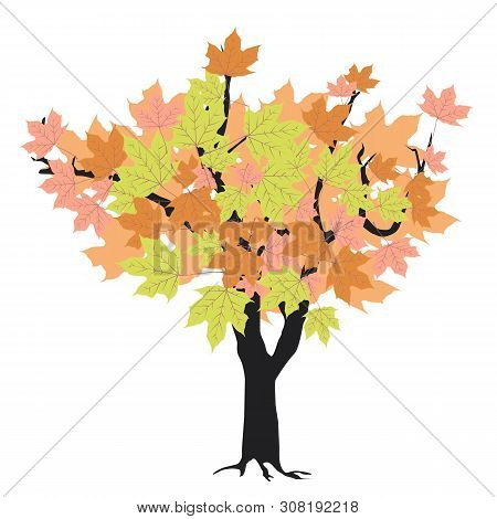 Autumn Tree In A Stylized Style, Isolate On A White Background