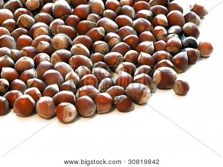 nocciole