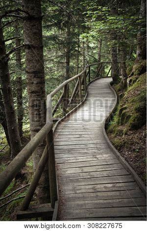 Nice Wooden Path Of Aigüestortes I Estany De Sant Maurici National Park In A Spanish Pyrenees Mounta