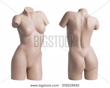 Female Nude Mannequin Without Hands, Feet And Head On White Background. Back View