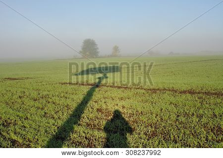 Sown Green Field In The Morning Mist. Two Big Shadows From A High Shield And A Man. In The Backgroun