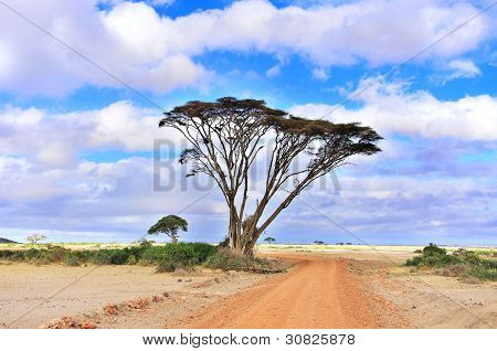 Panorama della Tanzania