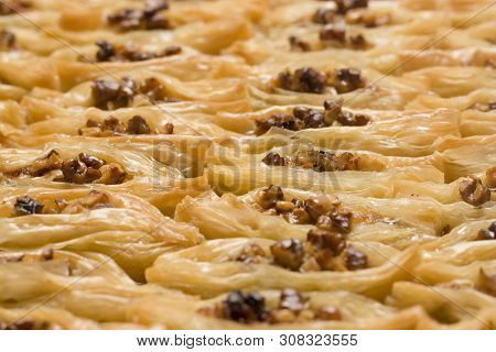 Pieces Of Turkish Or Arabic Traditional Declious Oriental Dessert Pahlava, Baklava, Close Up