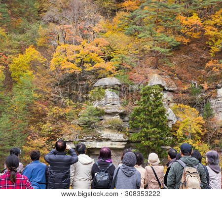 People Indulged In Vibrant Trees On The Cliff At To-no-hetsuri - Shimogo, Fukushima, Japan