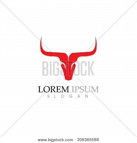 Cow Logo Template Vector Icon