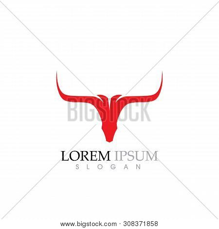 Cow Logo Template Vector Icon